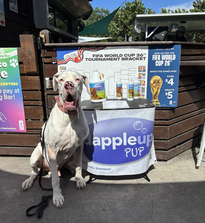 Community, Dogs & Giving Back: Dapple Up at Dog Bar Sarasota Charity Bath Day