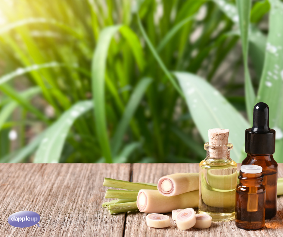 The Power of Lemongrass Essential Oil in Equine & Canine Care