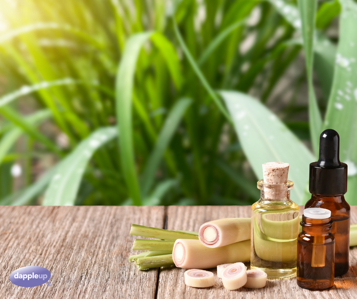 The Power of Lemongrass Essential Oil in Equine & Canine Care
