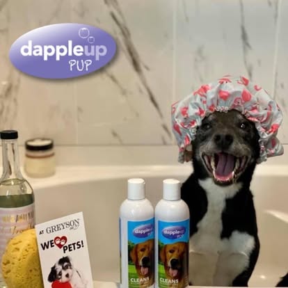 Dapple Up Dog customer photo