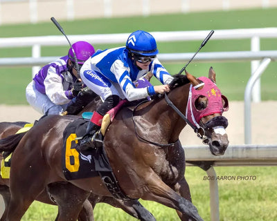 Dapple Up racing photo