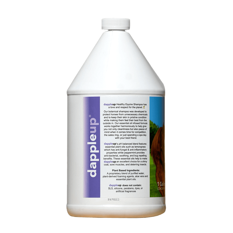 Gallon Dapple Up Equine - Image 2