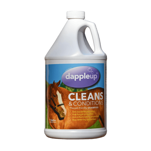 Gallon Dapple Up Equine